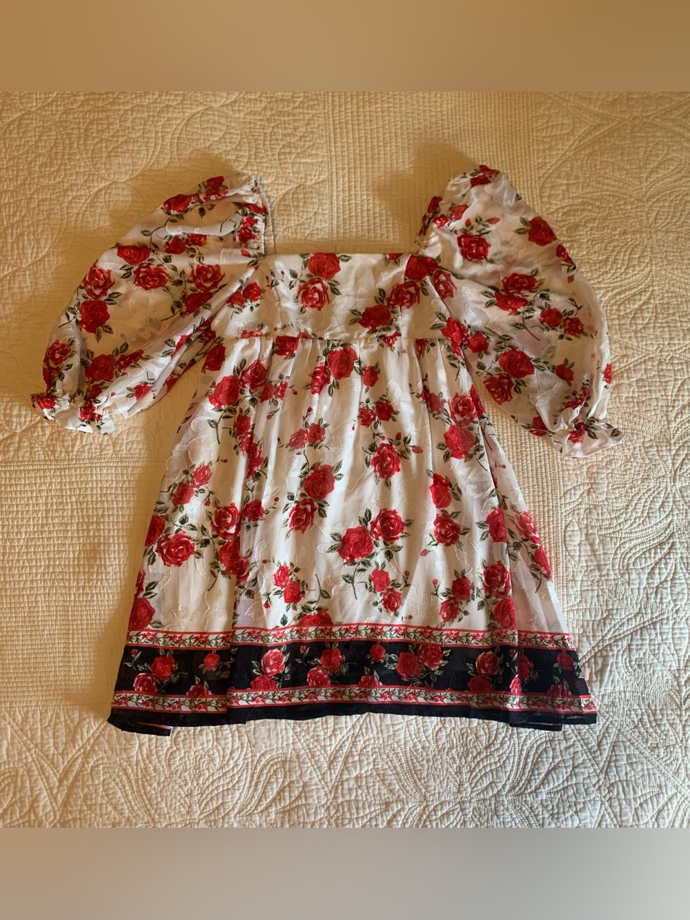 Blue Rain Rose Patterned Mini Dress from Francesca's